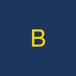 Balcia Insurance logo